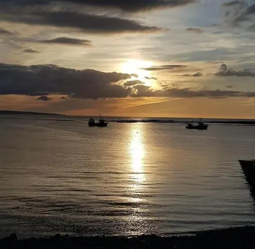 Plumgrove Pod Easkey 木屋